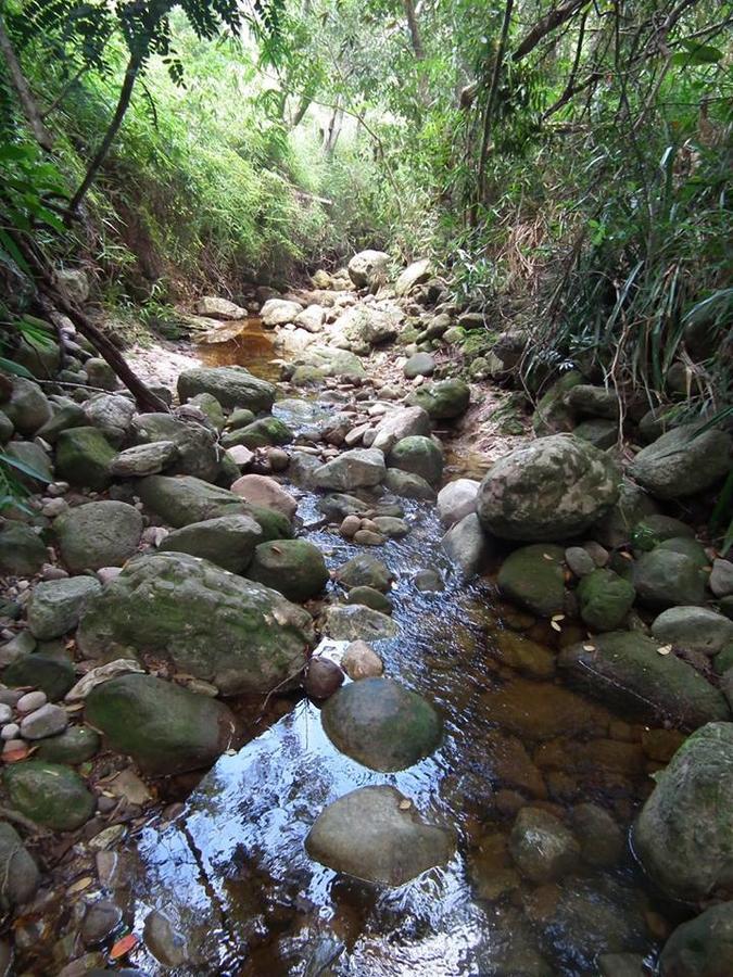 Casinha - Hospedagem Caminho Da Angelica Villa Vale do Capao Eksteriør billede